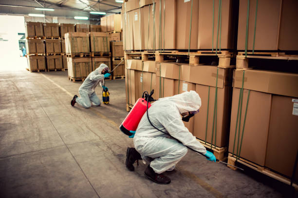  Buttonwillow, CA Pest Control Pros