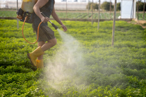 Best Bird Control  in Buttonwillow, CA