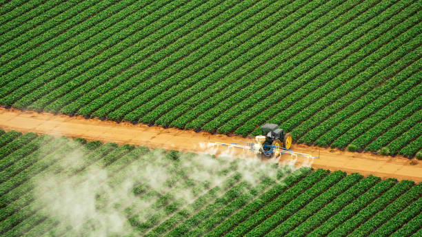 Best Pest Prevention Services  in Buttonwillow, CA