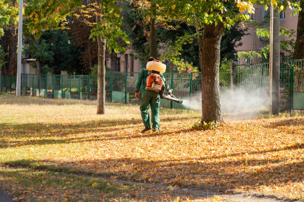 Trusted Buttonwillow, CA Pest Control Experts