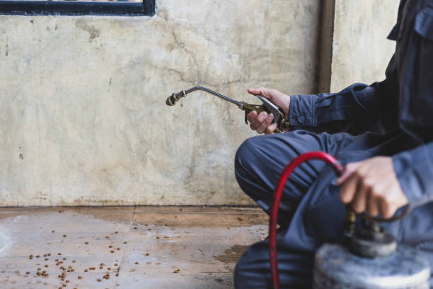 Best Pest Inspection Near Me  in Buttonwillow, CA